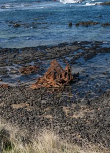 Kitty Miller Bay Shipwrecks Wildlife and Coastal Beauty