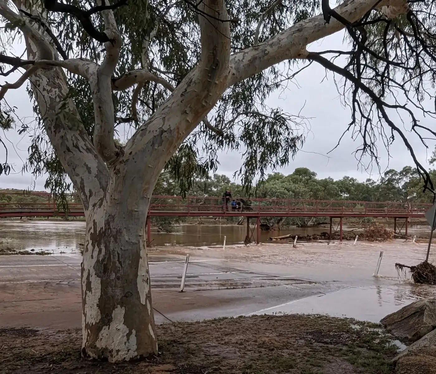 The Todd Riverbed & Parklands (Nighttime to Avoid)
